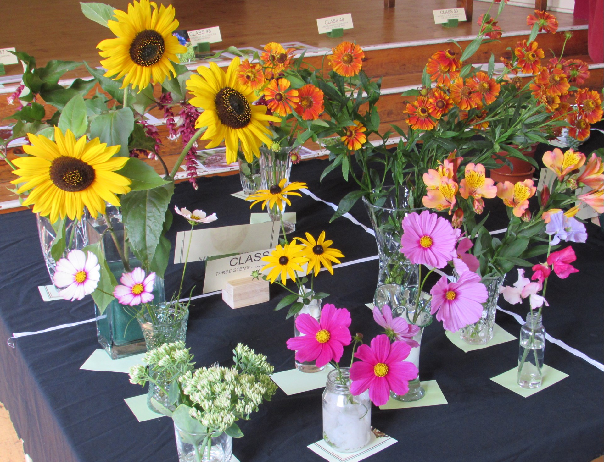 A colourful display at the 2019 Horticultural Show