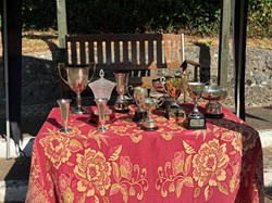 The Trophies