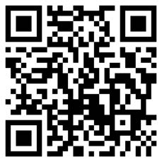 Thruxton Parish Council  Road Safety Survey