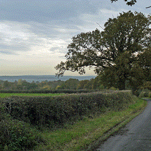 view from Mounts Lane