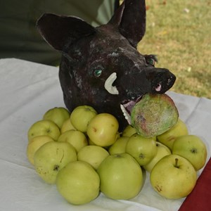 Hinxton Parish Council Hinxton Tudor Feast 2019