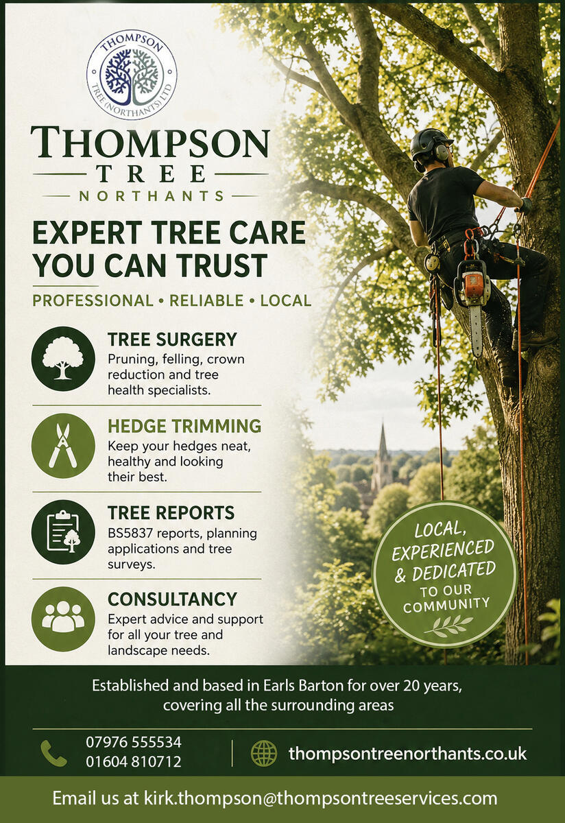 Barton Today Tree Surgery