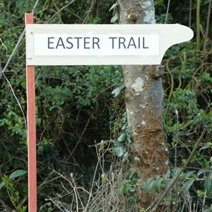 Ladbroke Easter Trail 2024