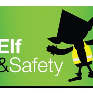 Team Elf & Safety