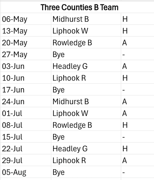 Wonersh Bowls Club 2024 Three Counties Division 4