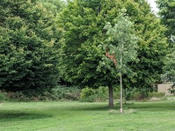 Up Hatherley Parish Council Parks and Green Spaces