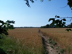 Bredgar country walks