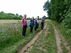 Luddesdown & District Rights of Way Group Walking in Luddesdown