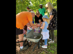 Seed bombs