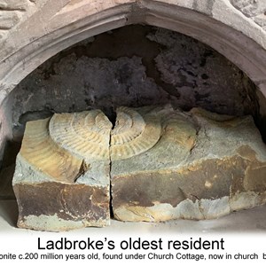 Ladbroke Heritage Schools - general info