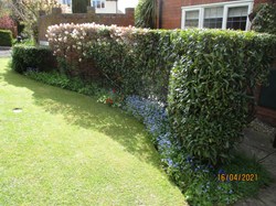 Up Hatherley Parish Council Photos from the 2021 Garden Competition
