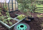 Upton Parish Newark Crickets Nursery Upton Parish Newark Crickets Nursery