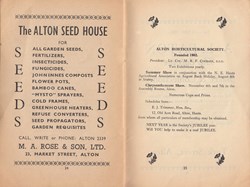 Memories of Alton, Hampshire Festival of Britain - Alton Events 1951