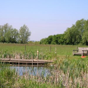 Holts Meadow Pond, Lt Downham