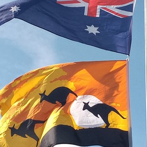 Australian Pairs day flags