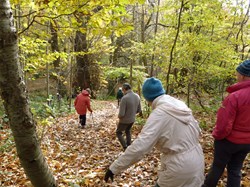 Luddesdown & District Rights of Way Group Walking in Luddesdown