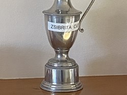 The Ryder Cup was renamed the Zsibrita Cup in honour of Steve stepping down from organising the gold weekend for the last 20 years or so