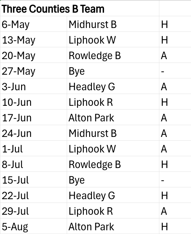 Wonersh Bowls Club 2024 Three Counties Division 4