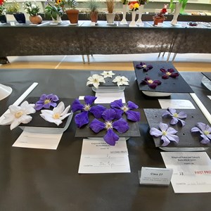 Kingswood Walton & Tadworth Horticultural Society Shows