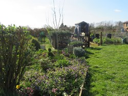 Parish Council Allotments