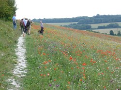 Luddesdown & District Rights of Way Group Walking in Luddesdown