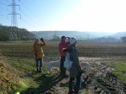 Dec 4th Cobham to Luddesdown