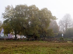 Upper Clatford Home