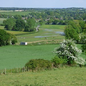 The Swift at Ibthorpe where it lacks a defined channel
