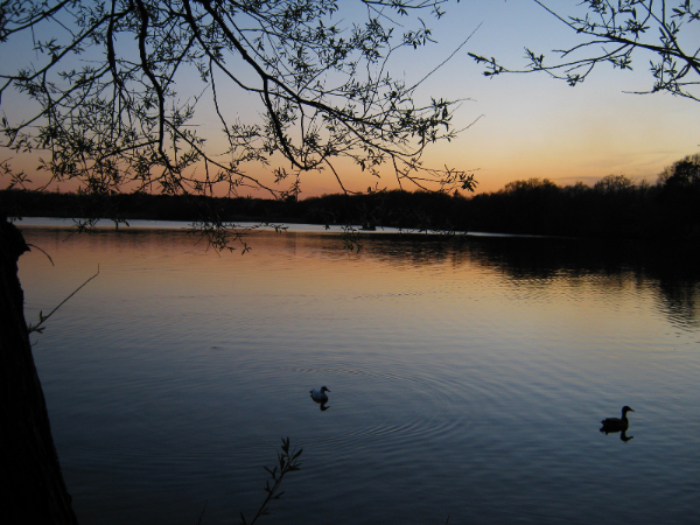 Hedgecourt Lake