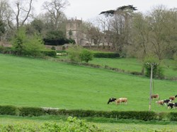 View towards Seend Church