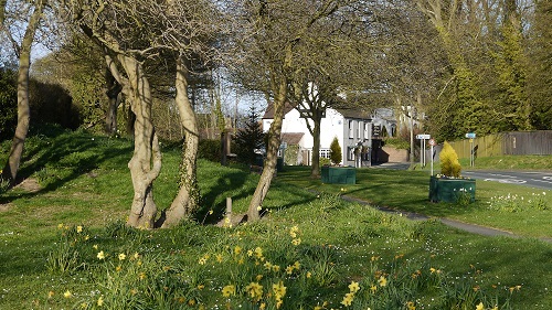 Village Green