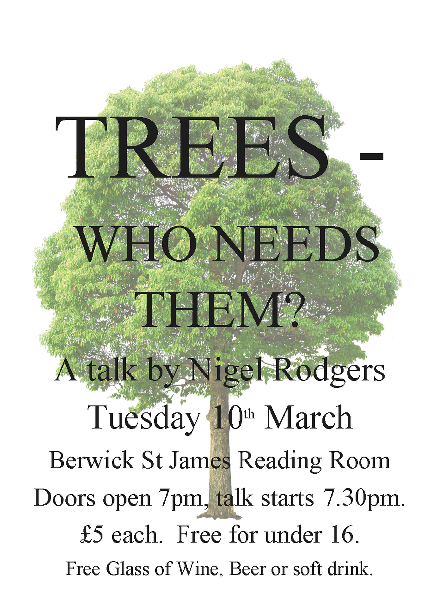 Berwick St James Parish Trees - Who Needs Them?