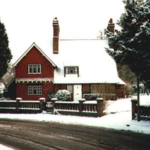 Ivy cottage in the snow