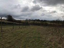 Solar farm on the left, new hedge to the right