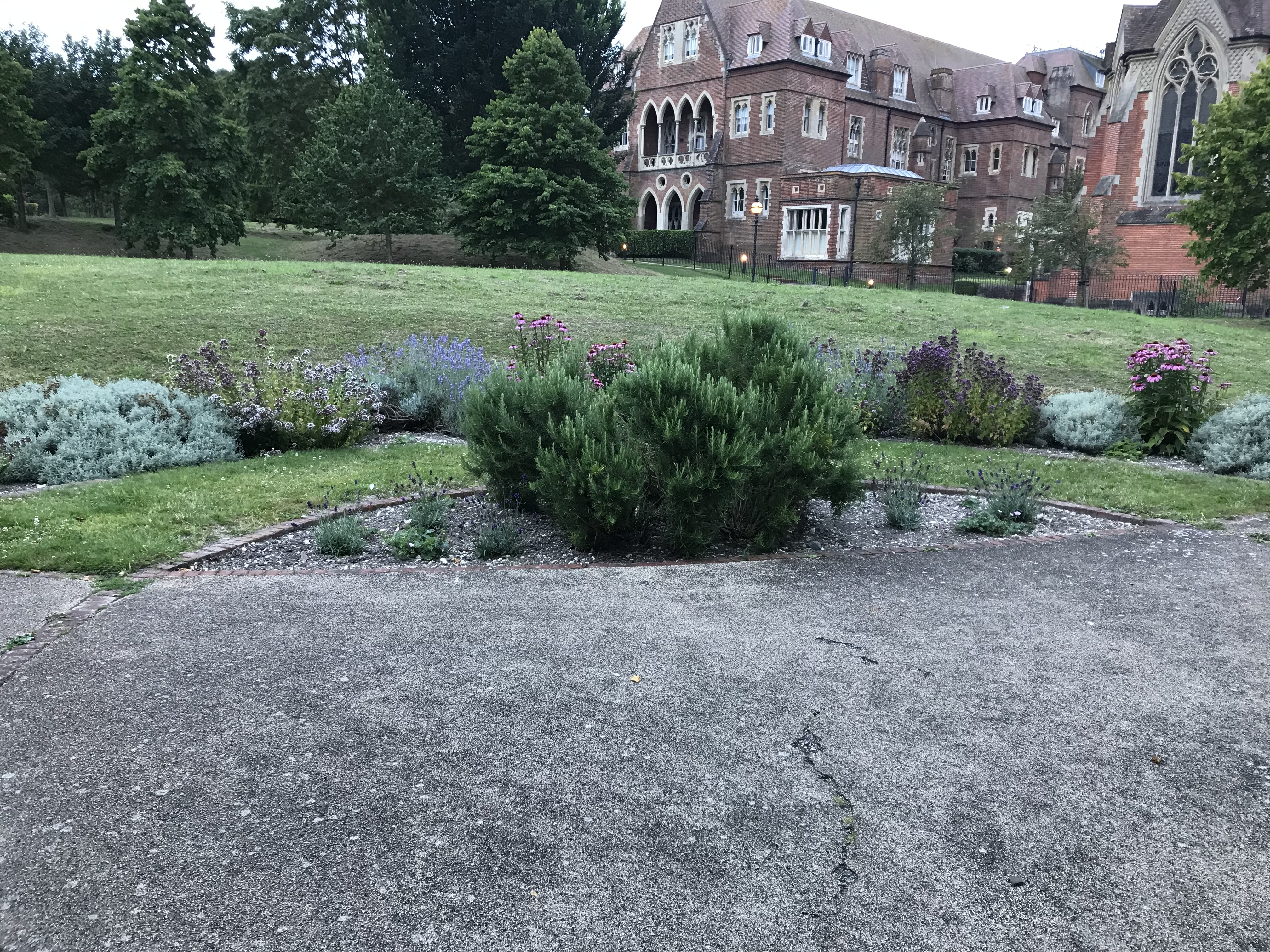 All Saints Physic Garden in August All Saints Physic Garden in August