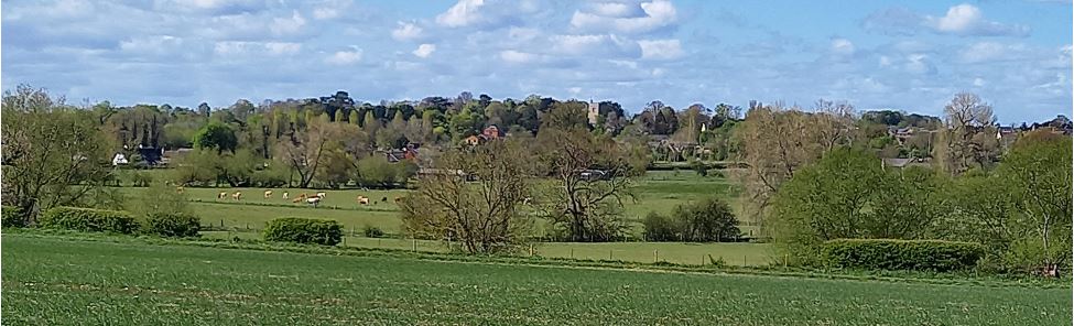 Cosgrove, looking back from the Big Grounds