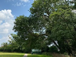 Playing Field pathway