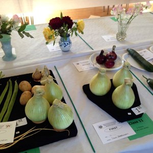 Prize winning vegetables at the Gardening Club show