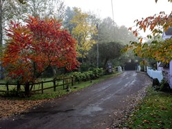 Upper Clatford Home