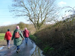 Luddesdown & District Rights of Way Group Walking in Luddesdown