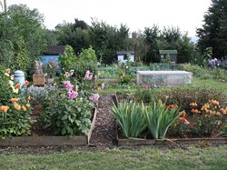 Parish Council Allotments