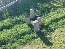 Stepping logs