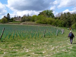 Luddesdown & District Rights of Way Group Walking in Luddesdown