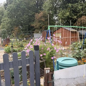 Balderton Parish Council Gallery