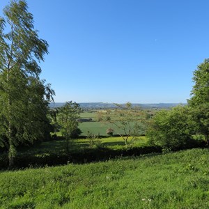 Views towards Salisbury Plain