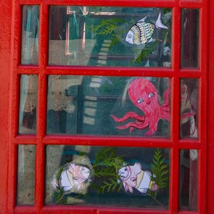 Ladbroke Heritage Phonebox Aquarium