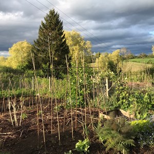Stormy sky over the Allotments