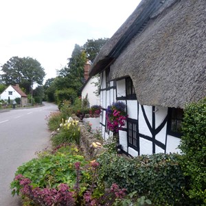 DEC 3RD ATTWOOD COTTAGE  (by DH) This half-timbered, thatched building is one of the oldest houses in Ladbroke, its been here for nearly four centuries!