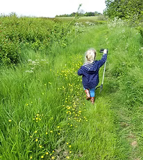 Appledore Parish Council Litter Appledore Parish Council Litter