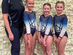 Lincoln City Gymnastics Club Squads